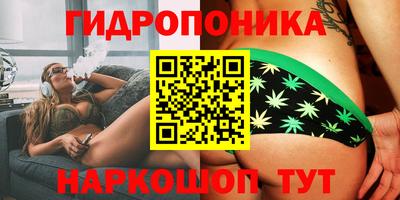 крисы Абинск
